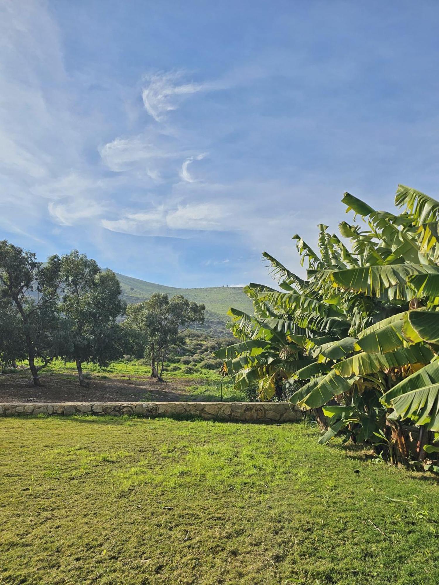 זריחה למרגלות הגלבוע Villa Nurit Bagian luar foto